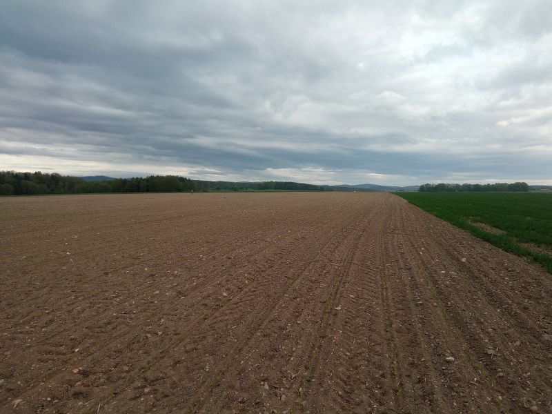Pole to je opravdu velké.